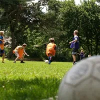 beerze-bulten-beerze-63esr