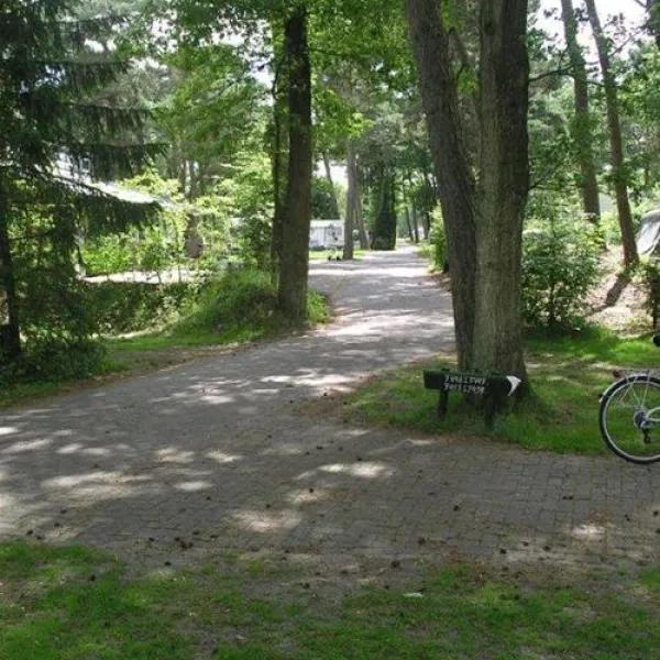 beerze-bulten-beerze-fsf89