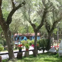 camping-reno-casal-borsetti-5outo