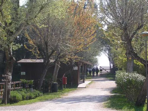 camping-reno-casal-borsetti-dohtm