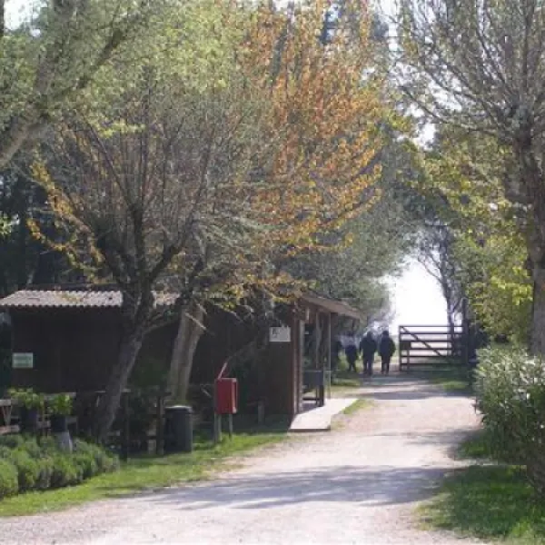 camping-reno-casal-borsetti-dohtm