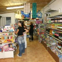 camping-reno-casal-borsetti-njl7g