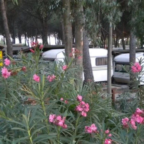 camping-case-vacanza-lungomare-cropani-marina-rmibe