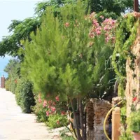 camping-helios-triscina-di-selinunte-7fqkb