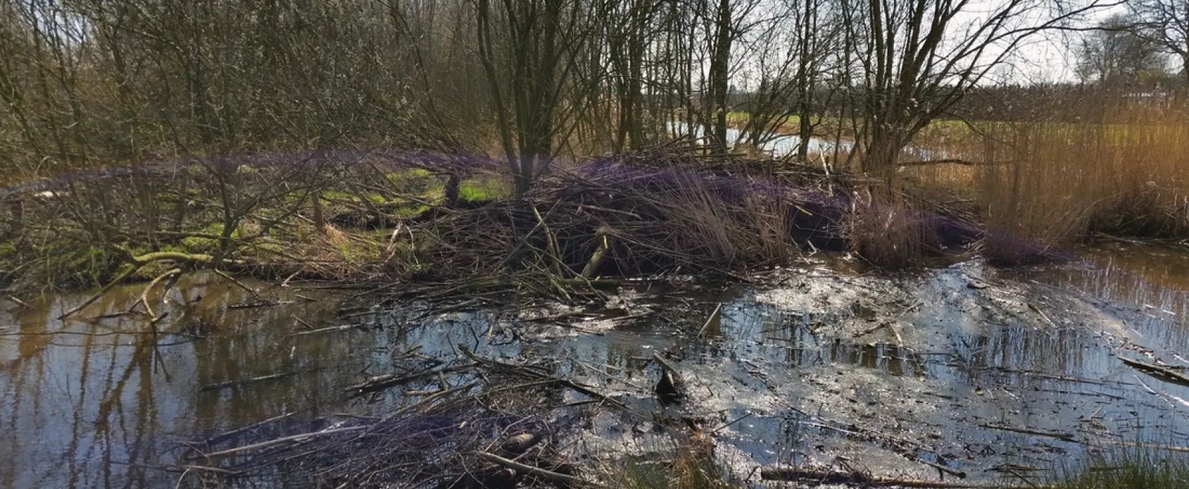 Camping Peelhof