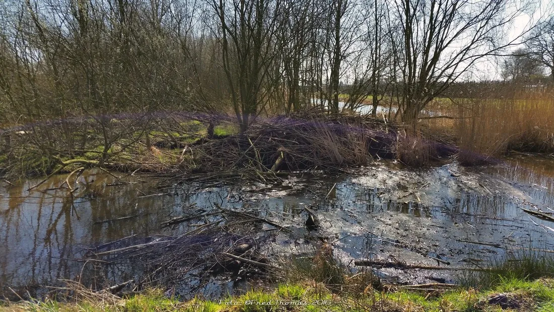 camping-peelhof-grathem-qrkvq