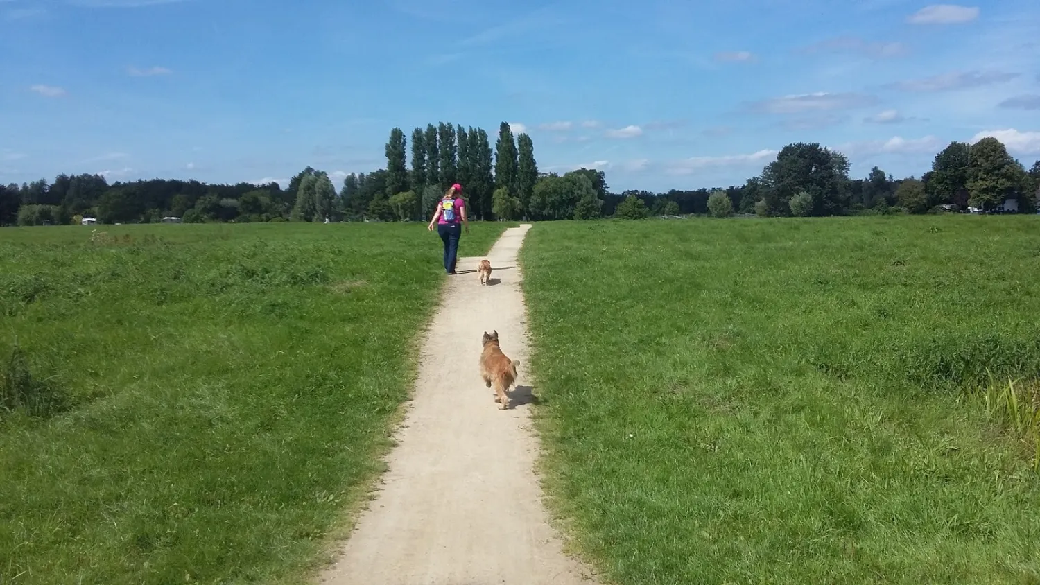 camping-tussen-hemel-en-aarde-groenekan-gpbf7