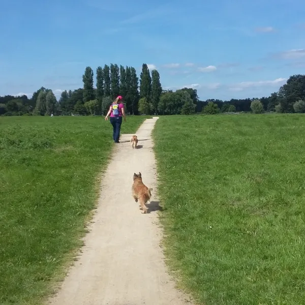 camping-tussen-hemel-en-aarde-groenekan-gpbf7