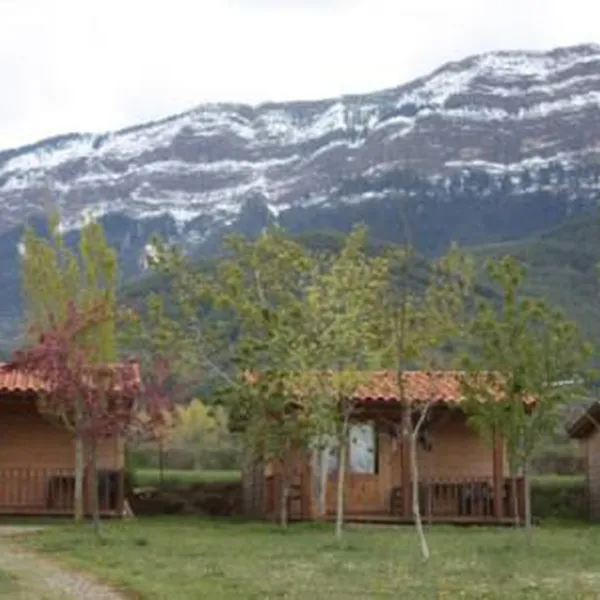ain-jaca-jaca-vtjyu