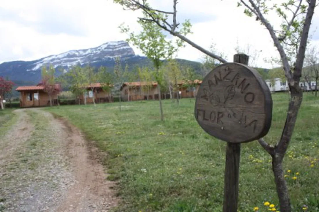 ain-jaca-jaca-vtkgd