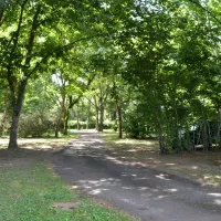 camping-de-gourjade-castres-arjua