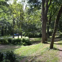 camping-de-gourjade-castres-zc16k