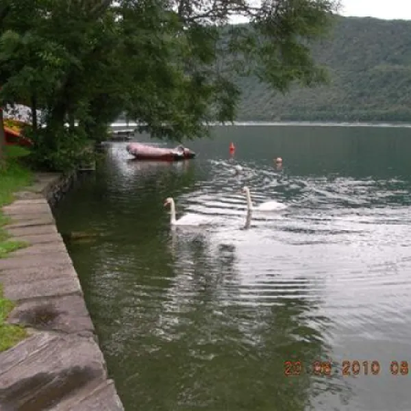 campeggio-punta-di-crabbia-pettenasco-3ezds
