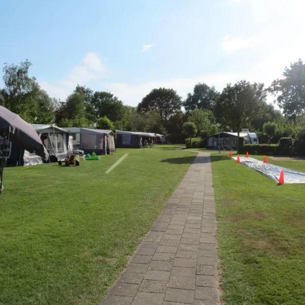 Camping De Spokke-riete