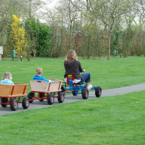 Camping De Spokke-riete