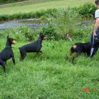 camping-du-moulin-bourscheidmoulin-xkciu