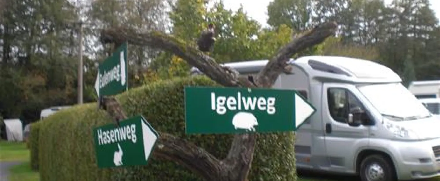 Camping im Siebengebirge