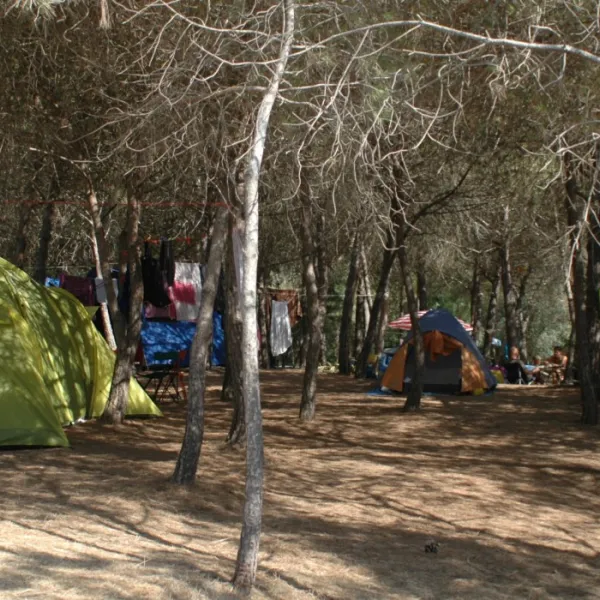 campeggio-nurapolis-narbolia-52lok