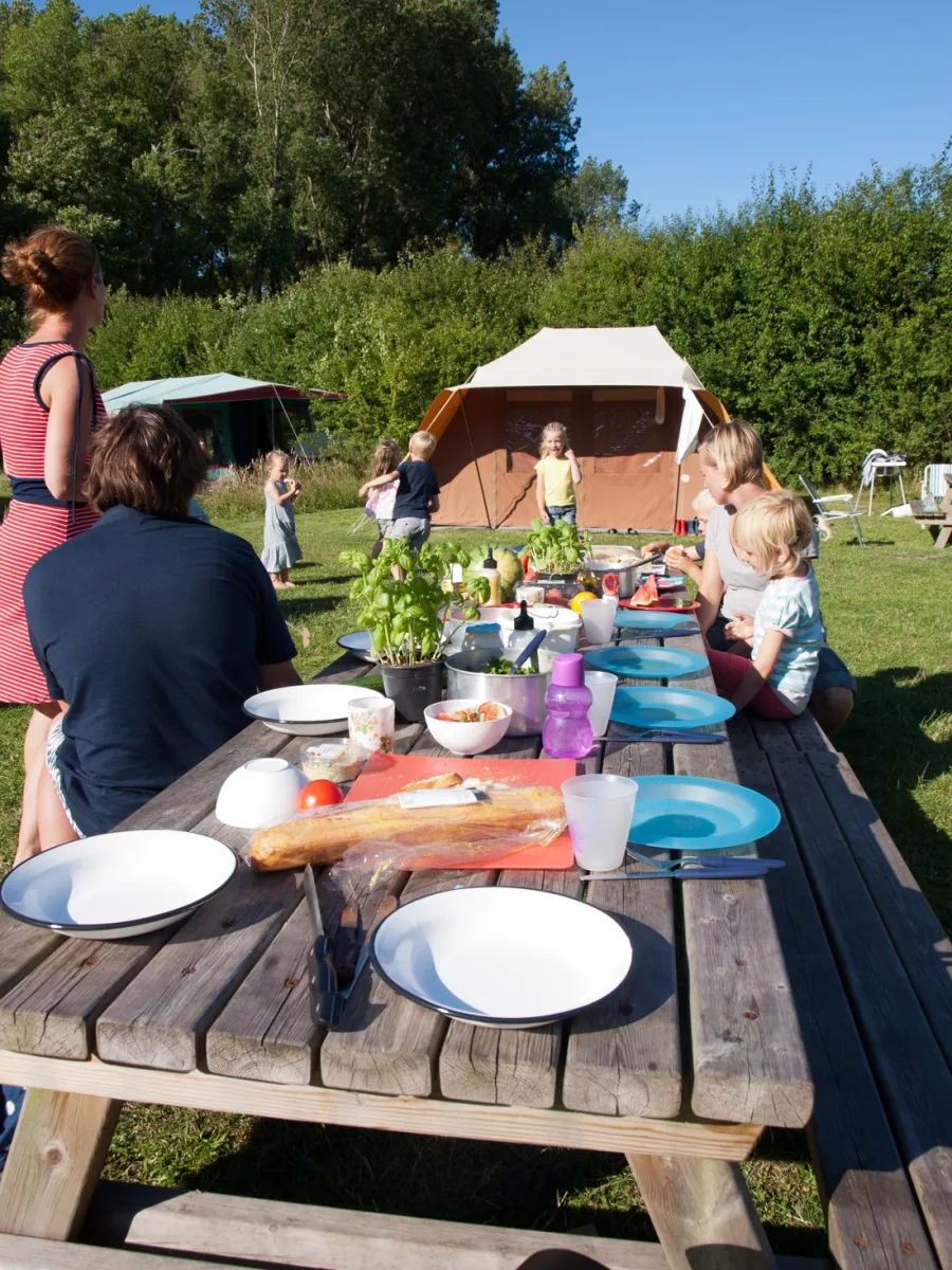natuurkampeerterrein-de-berenweide-heemskerk-2pcgn
