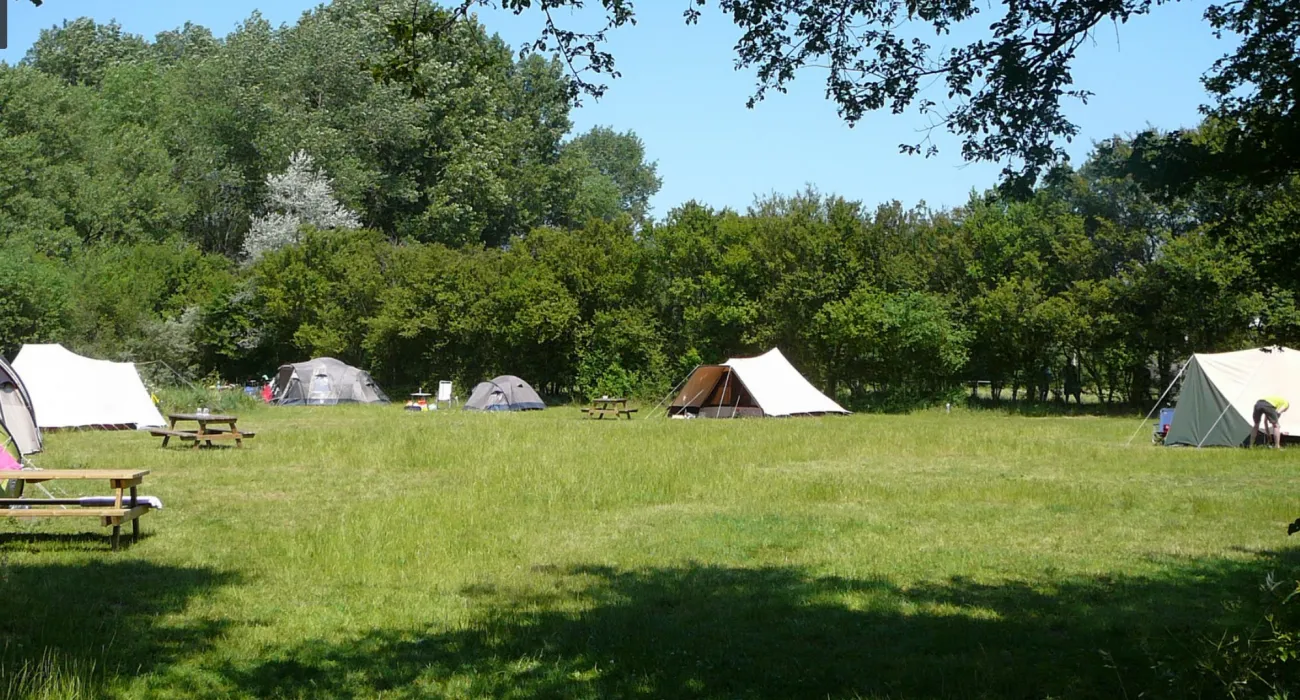 natuurkampeerterrein-de-berenweide-heemskerk-53hqt