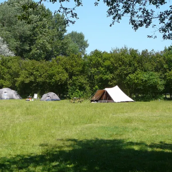 natuurkampeerterrein-de-berenweide-heemskerk-53hqt