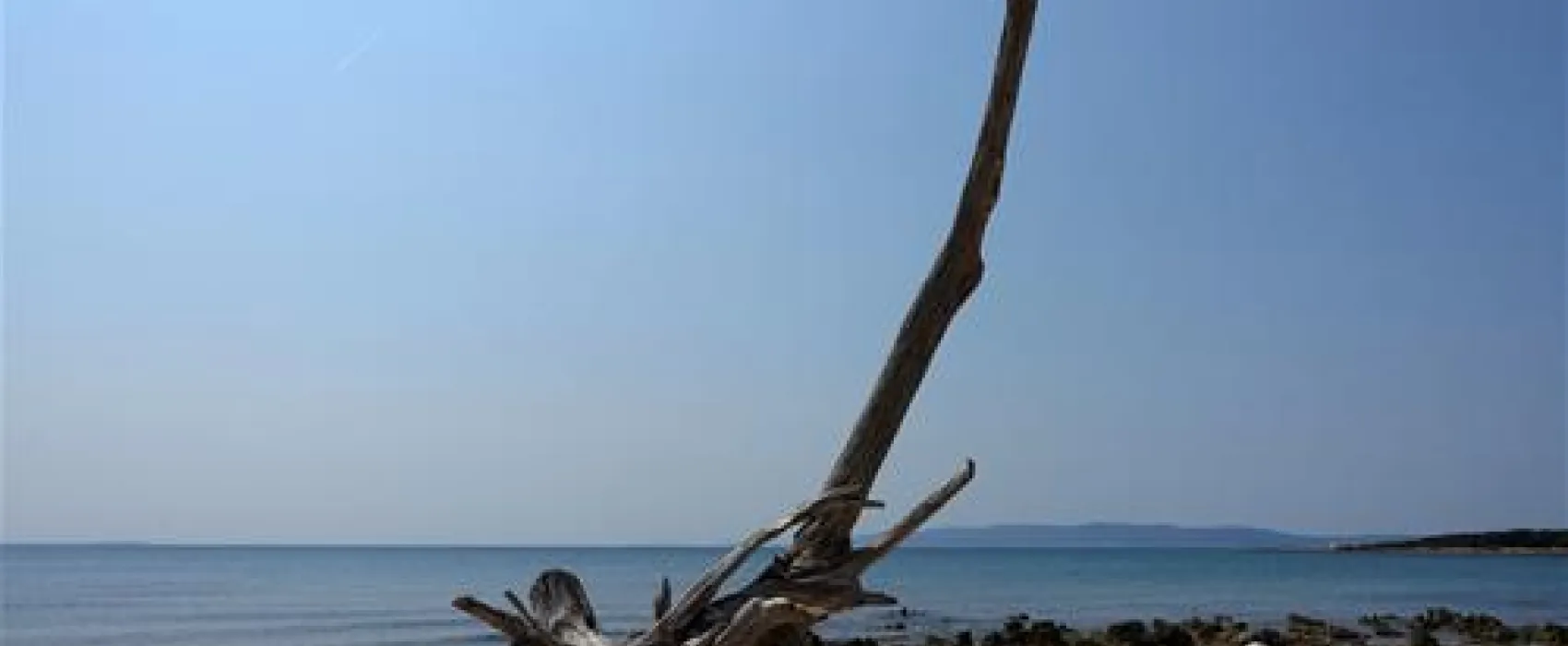 Camping Baldarin