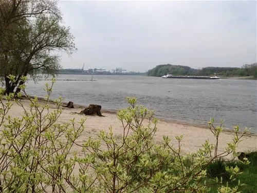 camping-strandterrasse-dormagenstrzelberg-lnojg