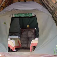 letsatsi-game-lodge-smithfield-qfppw