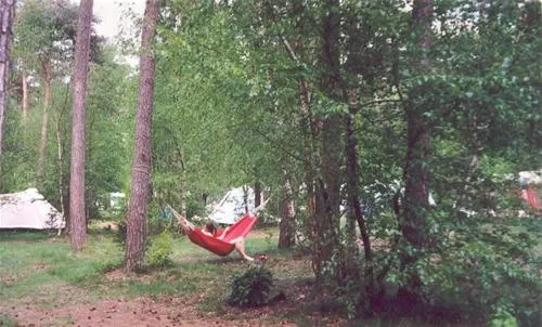 camping-fazantenhof-hollandsche-rading-foe3v