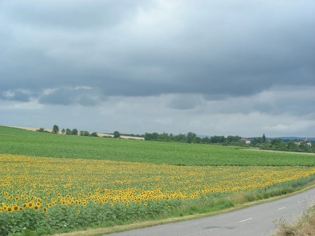 camping-camp-redon-cordes-sur-ciel-dguhj