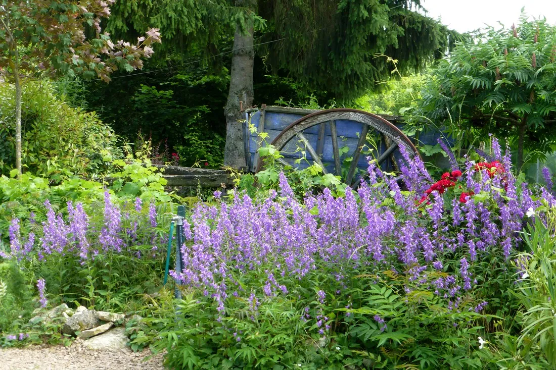 camping-camp-redon-cordes-sur-ciel-hmwke