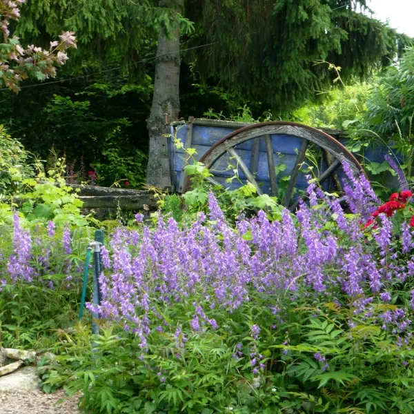 camping-camp-redon-cordes-sur-ciel-hmwke