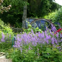 camping-camp-redon-cordes-sur-ciel-hmwke
