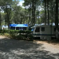 campeggio-julia-lido-di-metaponto-plput
