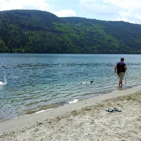 komfortcampingpark-burgstaller-dbriach-mffye