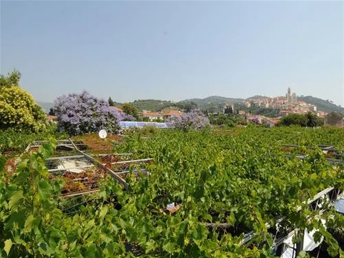 camping-lino-cervo-4ohu3