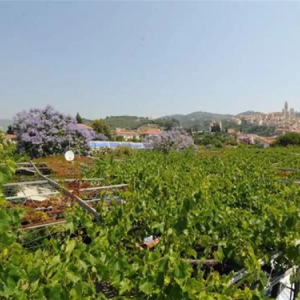 camping-lino-cervo-4ohu3