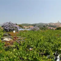 camping-lino-cervo-4ohu3