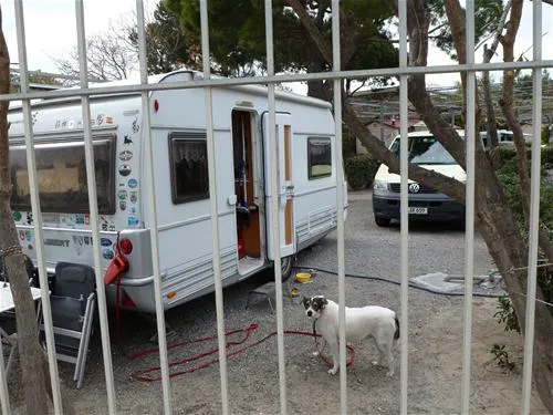 camping-lino-cervo-rsyqx