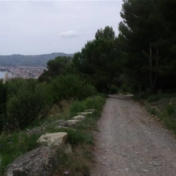 camping-lino-cervo-sfqaf
