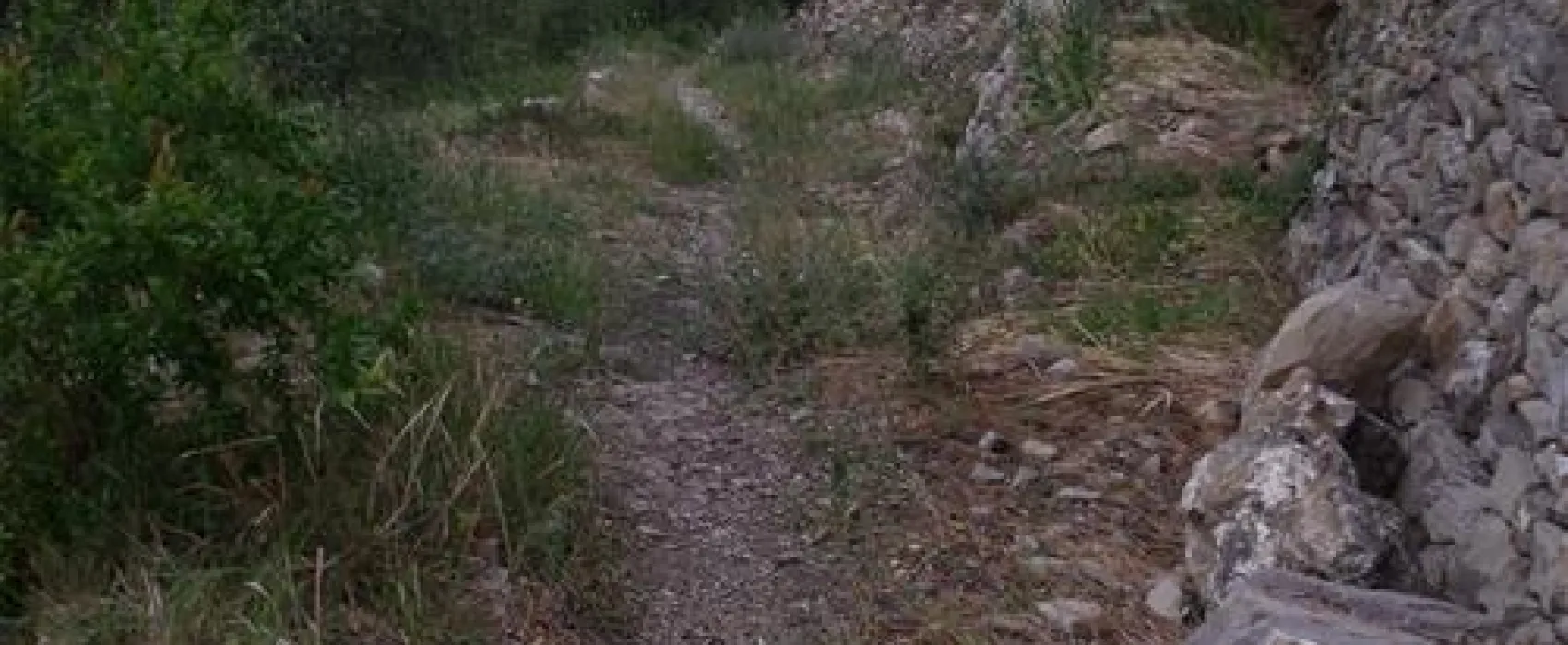 Camping Lino
