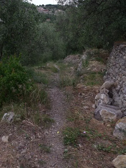 camping-lino-cervo-v80qx