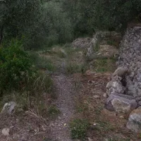 camping-lino-cervo-v80qx