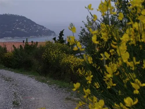camping-lino-cervo-zvvei