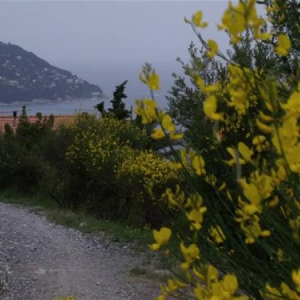 camping-lino-cervo-zvvei