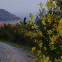 camping-lino-cervo-zvvei