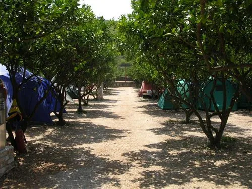 camping-grebisce-jelsa-qglo0