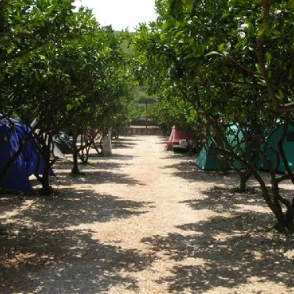 camping-grebisce-jelsa-qglo0