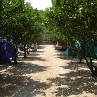camping-grebisce-jelsa-qglo0