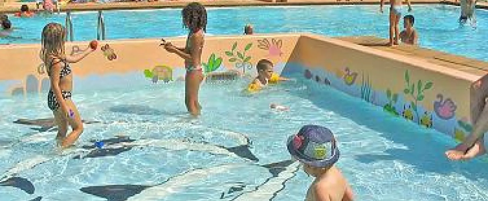 Camping Iserand